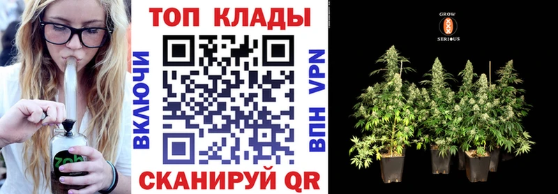 Где можно купить наркотики Волгоград Альфа ПВП Меф мяу мяу АМФ Гашиш