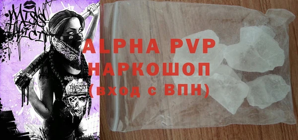 хмурый Ельня