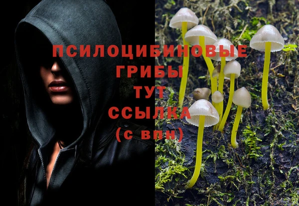 Альфа ПВП Елабуга