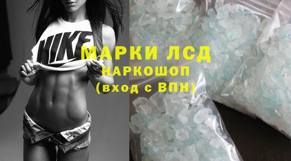 мяу мяу мука Елизово