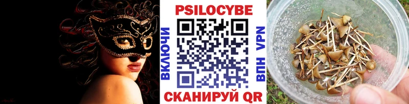 Псилоцибиновые грибы мицелий  наркошоп  кракен онион  Волгоград 