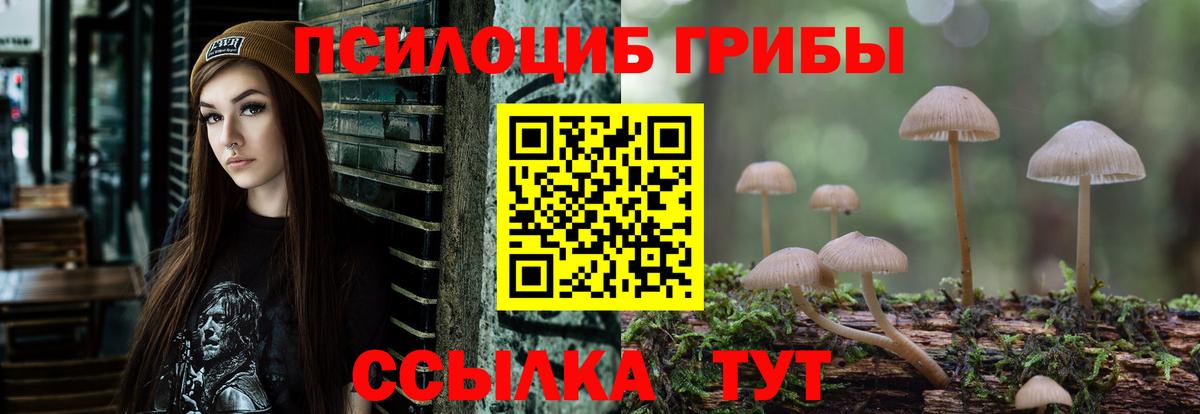 где продают   Псилоцибиновые грибы Psilocybe  Вход с VPN  Волгоград 